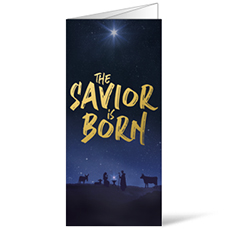 Savior is Born Star 