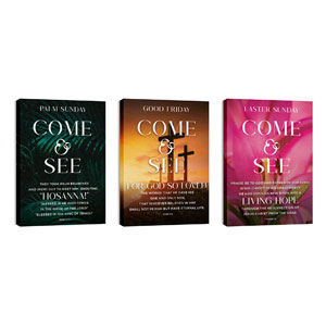 Come And See Flowers Triptych 24in x 36in Canvas Prints