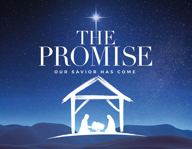 Banners, Christmas, The Promise Manger, 9'8 x 7'2