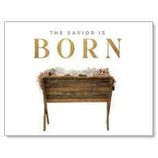 Born Manger 