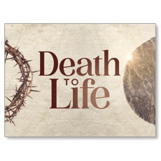 Death To Life Crown 