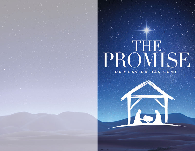 Bulletins, Christmas, The Promise Manger, 8.5 x 11