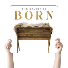 Born Manger 