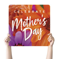 Mother's Day Daisies 