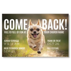 Come Back Fall Dog 