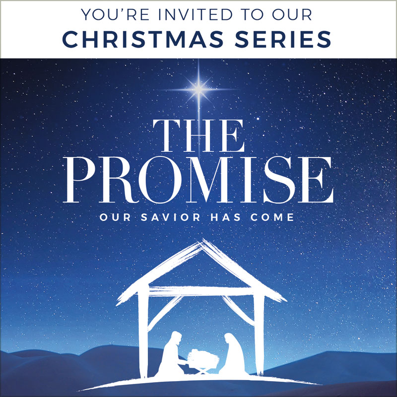 InviteCards, Christmas, The Promise Manger, 3.75 x 3.75