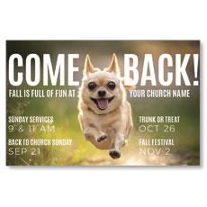Come Back Fall Dog 
