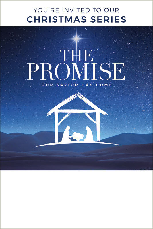 Posters, Christmas, The Promise Manger, 12 x 18