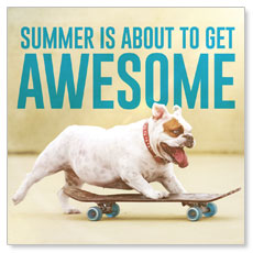 Awesome Summer Dog 