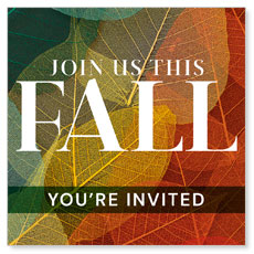 Fall Colorful Leaves 