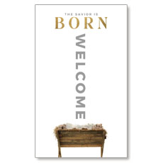 Born Manger 