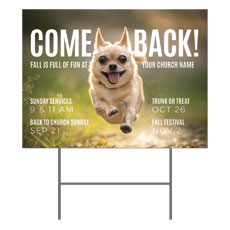 Come Back Fall Dog 